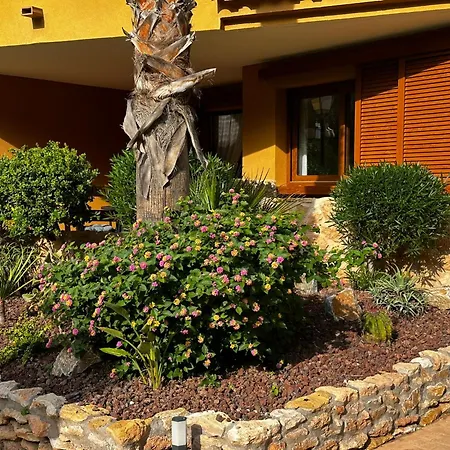 Apartament Ground Floor Punta Prima Looking At The Pool