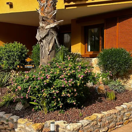 Appartement Ground Floor Punta Prima Looking At The Pool